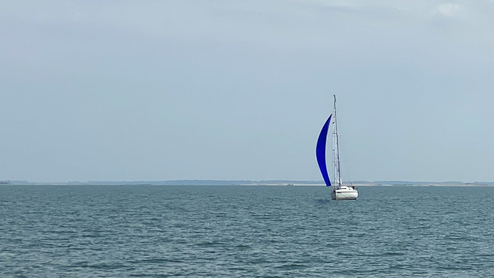 Zeilen op het IJsselmeer